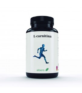 L-carnitina 500 mg 60 cáps